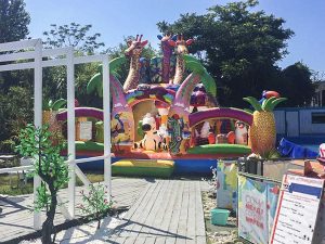 надувной комплекс Экватор макси 5