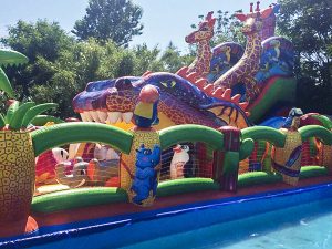 надувной комплекс Экватор макси 5