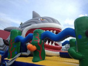 надувной комплекс Акула