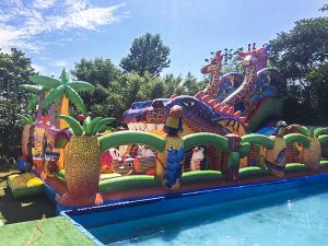 надувной комплекс Экватор макси 5